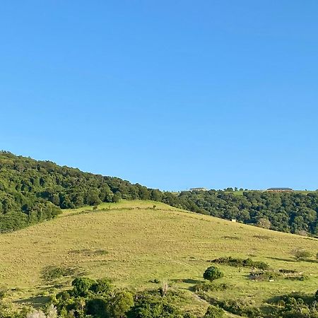 Hills View Bnb Studio Kiama Heights Hotell Exteriör bild