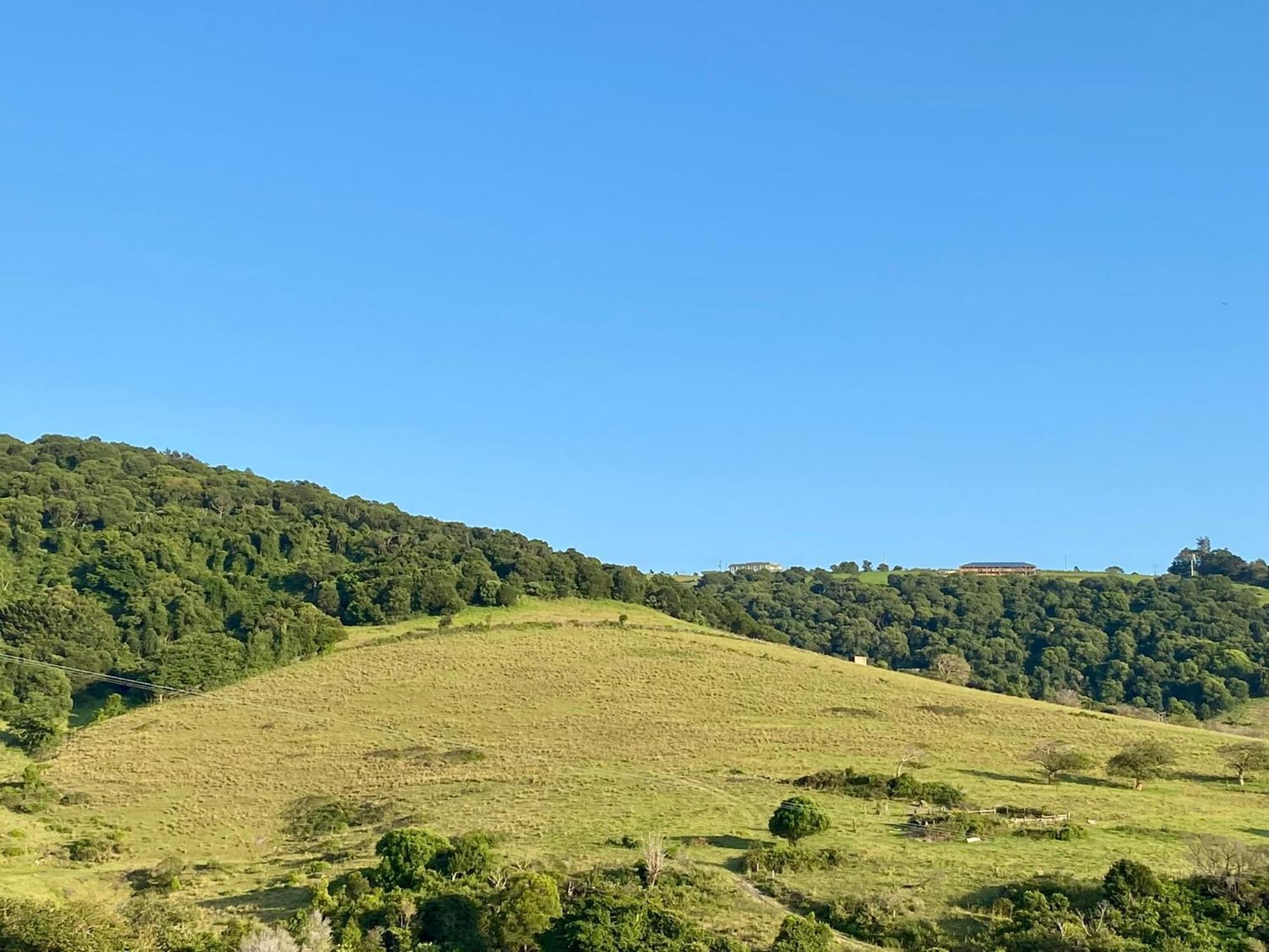 Hills View Bnb Studio Kiama Heights Hotell Exteriör bild